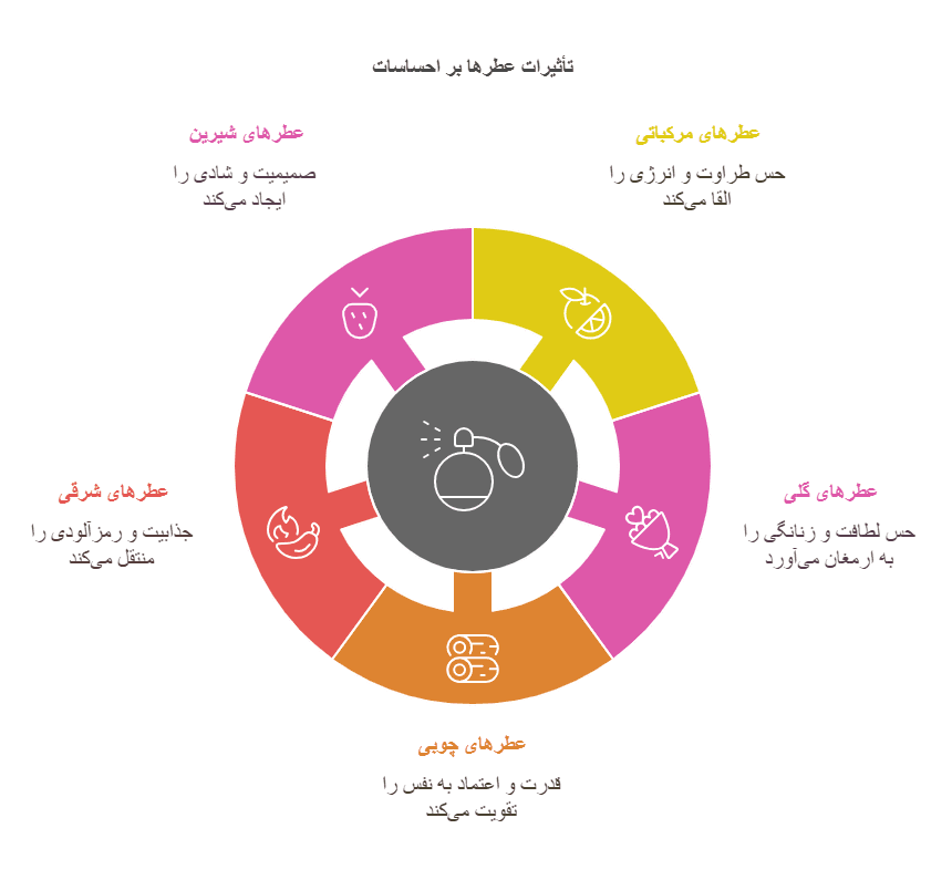 شناخت انواع رایحه ها و تاثیر آن ها بر احساسات