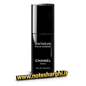 عطر شنل آنتئوس مردانه (chanel Antaeus for men)