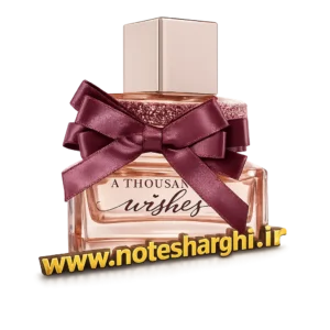 عطر ادکلن توزند ویشز بث اند بادی (A Thousand Wishes Bath & Body Works) - نمای محصول