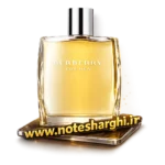 عطر ادکلن باربری مردانه (Burberry Men Burberry)