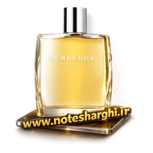 عطر ادکلن باربری مردانه (Burberry Men Burberry) - نمای محصول