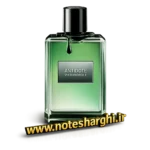 عطر ویکتور اند رولف آنتیدوت (Antidote Viktor&Rolf)
