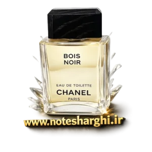 عطر بویس نویر (Bois Noir Chanel) - نمای محصول
