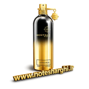 عطر مونتال امبر ماسک (Amber Musk Montale)