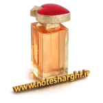 عطر ایو سن لوران وایس ورسا (Vice Versa Yves Saint Laurent)