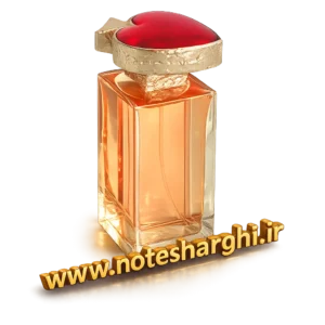 عطر ایو سن لوران وایس ورسا (Vice Versa Yves Saint Laurent)