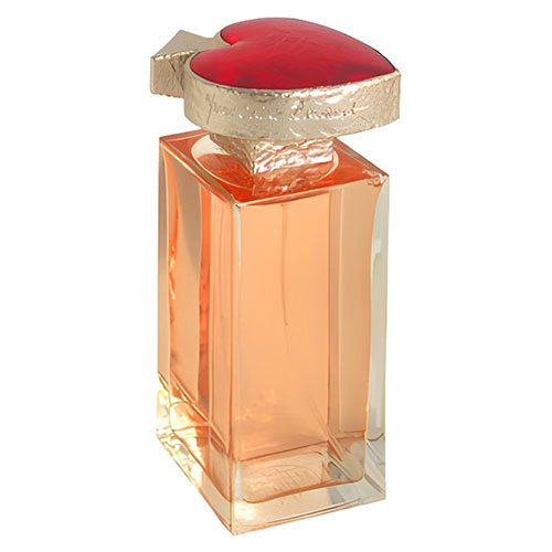 عطر ایو سن لوران وایس ورسا (Vice Versa Yves Saint Laurent)