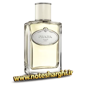عطر پرادا اینفیوژن د ایریس (Infusion d’Iris Prada) - نمای محصول