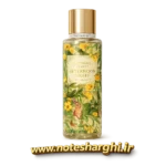عطر افترنون لایت ویکتوریا سکرت (Afternoon Light Victoria’s Secret)