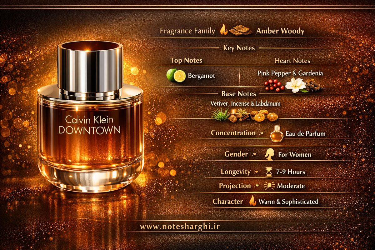 تصویر اینفوگرافیک عطر داون تاون کلوین کلاین (Downtown Calvin Klein)