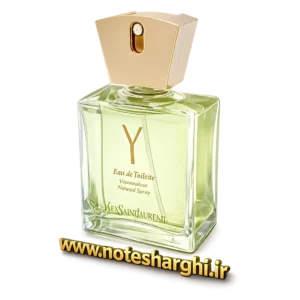 عطر وای ایو سن لورن زنانه (Y Yves Saint Laurent for women)