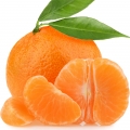 نارنگی کلمنتاین