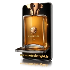 عطر آمواج دیا مردانه (Dia Man Amouage) - نمای محصول