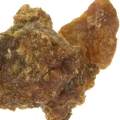 صمغ جاوشیر