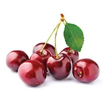 گیلاس ترش