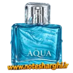عطر آکوا فور هیم (Aqua for Him Avon)