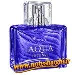 عطر آکوا اینتنس اون مردانه (Aqua Intense Avon)
