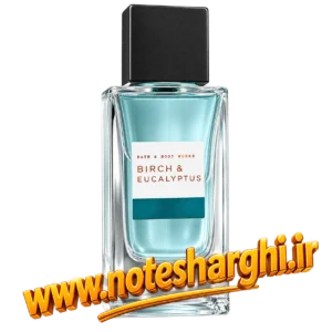 عطر بِرچ اند اِیوکالیپتوس بث اند بادی ورکز مردانه (Birch & Eucalyptus Bath & Body Works)