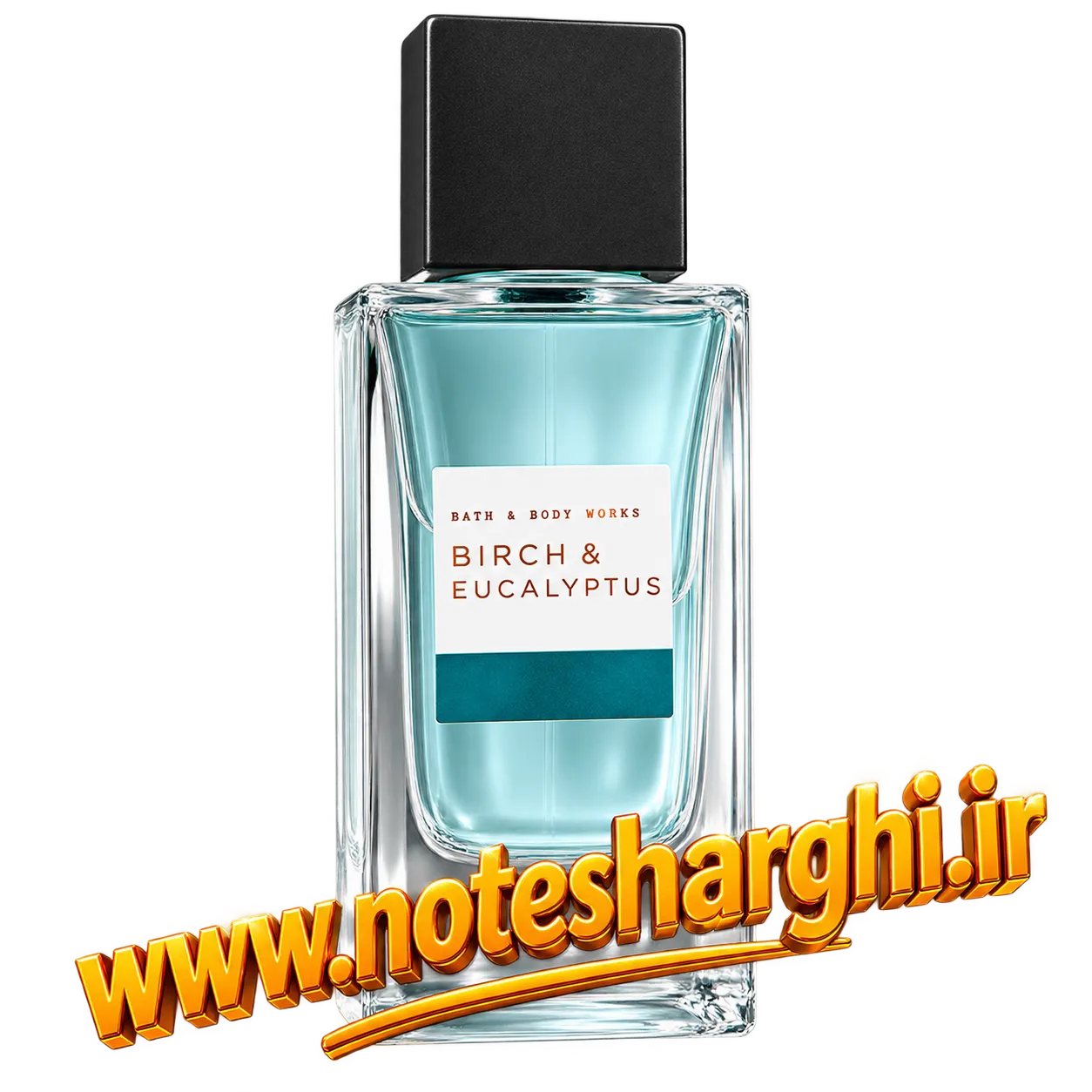 عطر بِرچ اند اِیوکالیپتوس بث اند بادی ورکز مردانه (Birch & Eucalyptus Bath & Body Works)