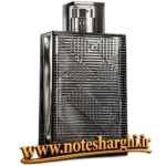 عطر بریت ریتم فور هیم اینتنس باربری (Brit Rhythm for Him Intense Burberry)