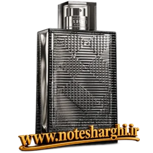 عطر بریت ریتم فور هیم اینتنس باربری (Brit Rhythm for Him Intense Burberry) - نمای محصول