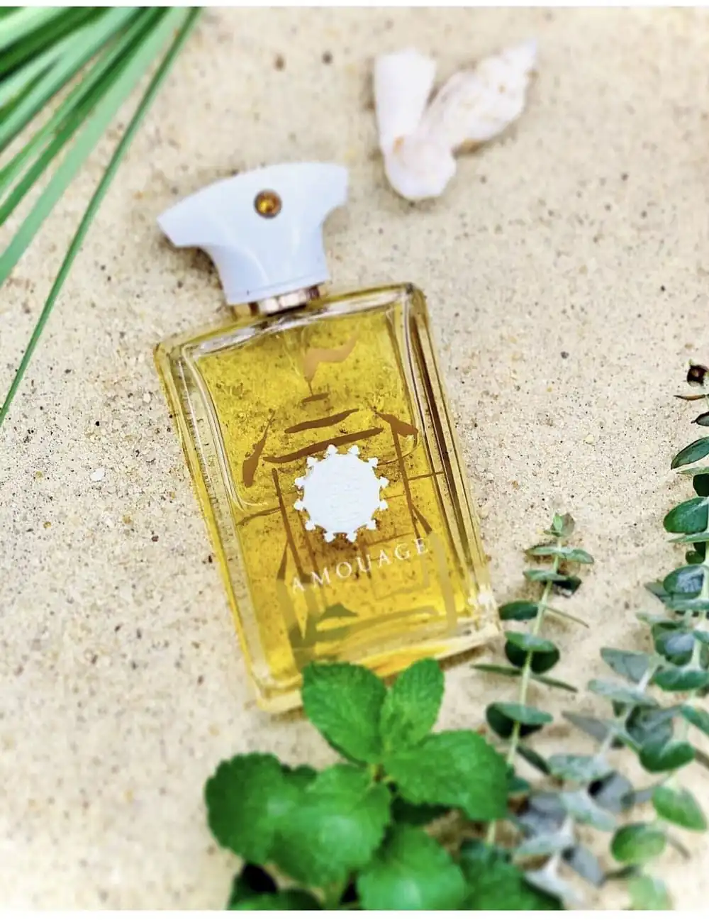 تصویر گالری عطر بیچ هات آمواج (Beach Hut Amouage) 4