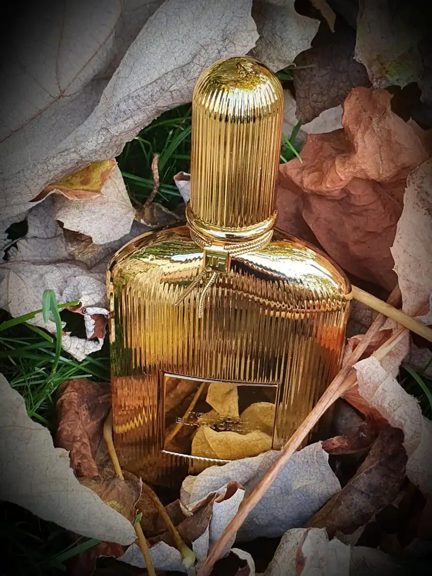 تصویر گالری عطر تام فورد بلک ارکید پارفوم زنانه و مردانه (Black Orchid Parfum) 2