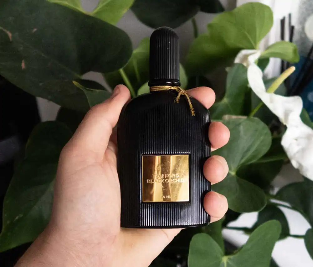 تصویر گالری عطر تام فورد بلک ارکید عود زنانه (Black Orchid Oud) 3