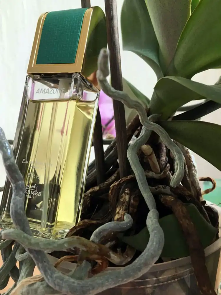 تصویر گالری عطر ادو تویلت آمازون هرمس (Amazone 1974 Hermès) 4