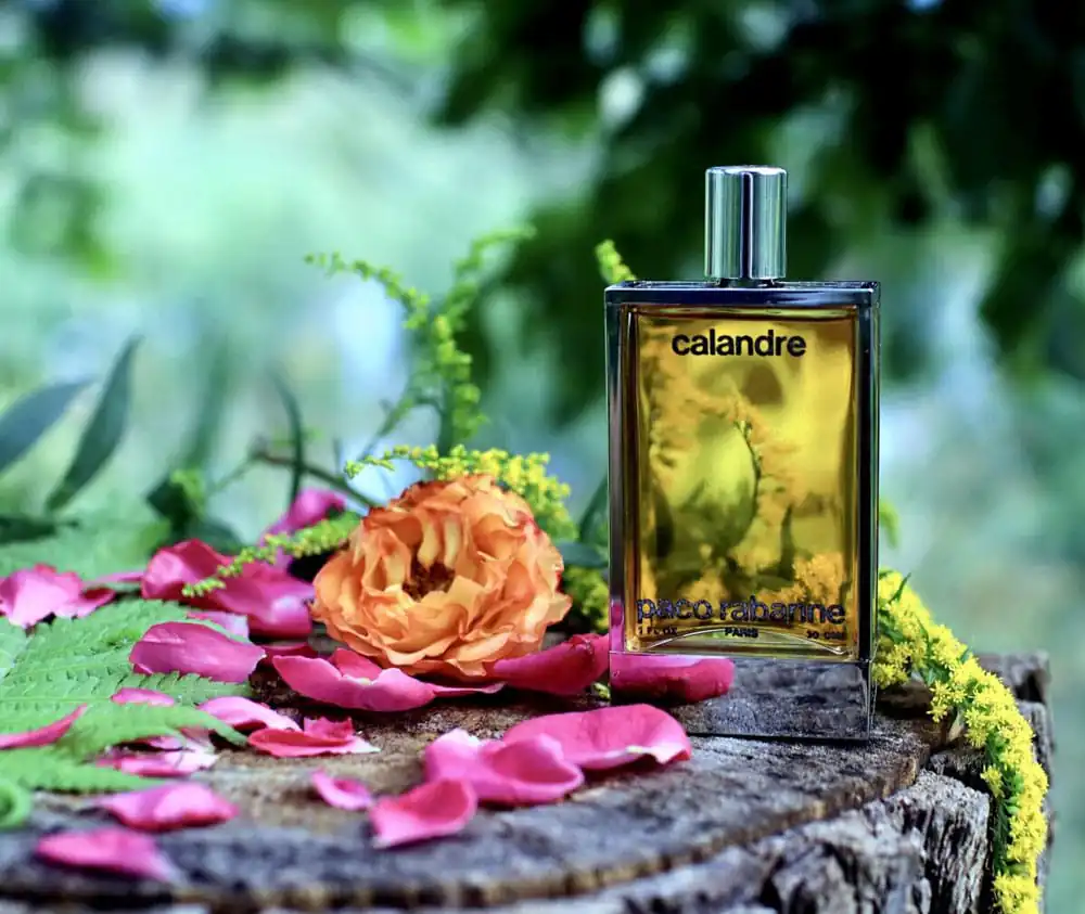 تصویر گالری عطر ادکلن پاکو رابان کلندر (Calandre Rabanne) 4