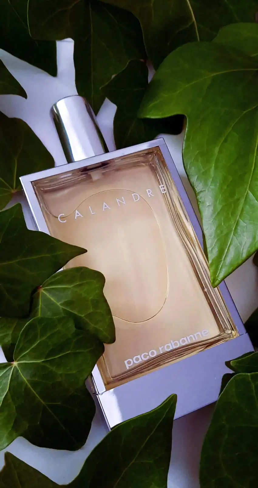 تصویر گالری عطر ادکلن پاکو رابان کلندر (Calandre Rabanne) 5