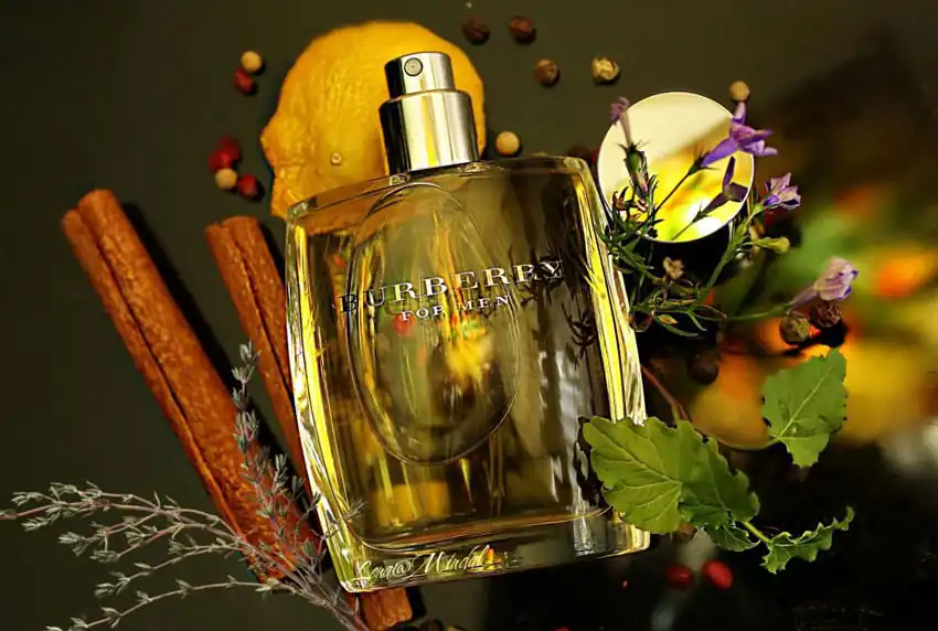 تصویر گالری عطر ادکلن باربری مردانه (Burberry Men Burberry) 2
