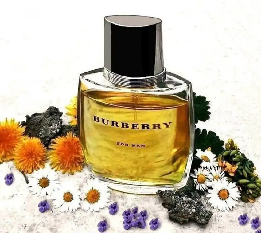 تصویر گالری عطر ادکلن باربری مردانه (Burberry Men Burberry) 4