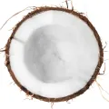 نارگیل
