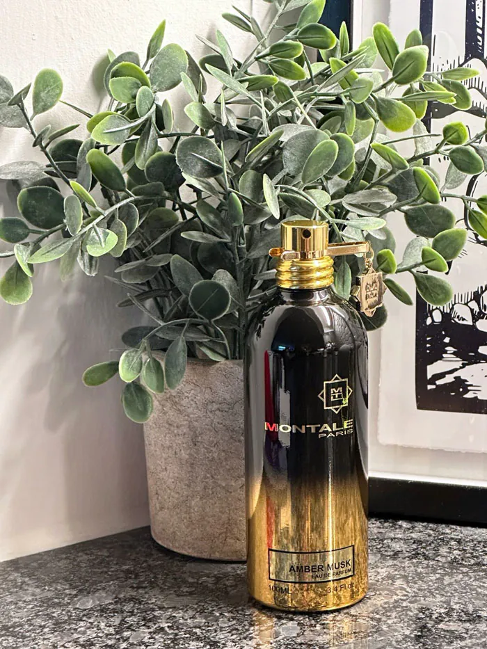 تصویر گالری عطر مونتال امبر ماسک (Amber Musk Montale) 5